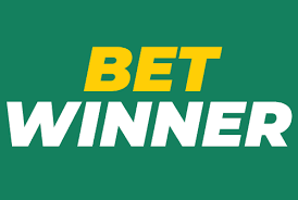 Comprehensive Guide to BetWinner Support 13