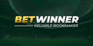 Understanding the Betwinner Privacy Policy 1 Understanding the Betwinner Privacy Policy 1