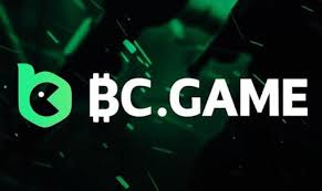 The Thrill of Online Gaming Exploring BC Game