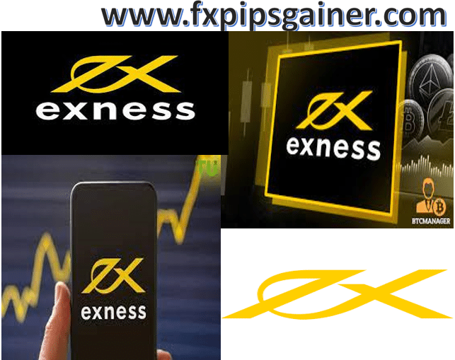 Discovering Exness Social Trading A New Era in Investment Discovering Exness Social Trading A New Era in Investment